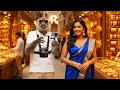 1 Desi Tadka In Dubai Indian Saree Look In Dubai Vlog Amol Creation Storytelling Series