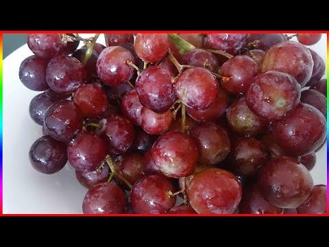 7 Lebensmittel, die gut für die Bauchspeicheldrüse sind