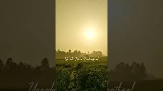 Download lagu #morning #farming #nature #tamil #songs #sidsirramwhatsappstatus #morningwhatsappstatus  #vibes mp3