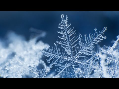 Naomi Sturza & Corneliu Nuțu - Se Așterne