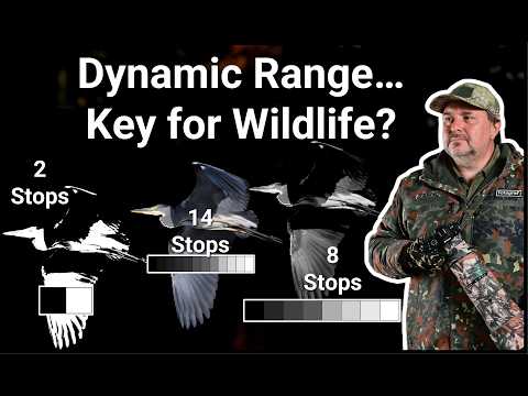 14 Stops of Magic: Understanding Dynamic Range Like Never Before