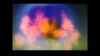 "ANOTHER DISASTER" The Samples