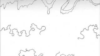 Finish Your Collapse and Stay For Breakfast