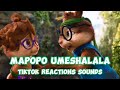 Mapopo Umeshalala Remix | Mavokali x Rayvanny | Chipmunks Tiktok cover Song | Kanaple Extra