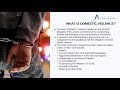 Domestic Violence Crimes Overview In New York DV Lawyer NYC