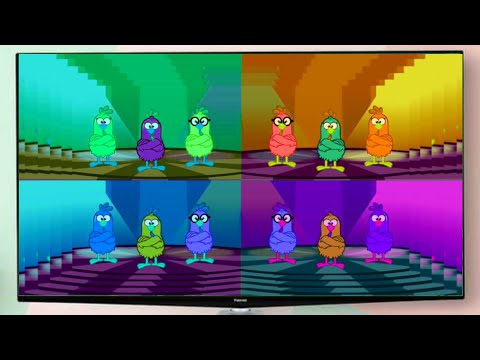 Circo Das Galinhas Compilation Sponsored by Preview2Eff 😊🥰