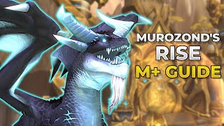 Murozond's Rise 10 Minute MASTERCLASS | Dragonflight Season 3 M+ Guide