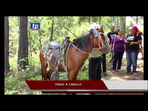 CARAVANAS DE IDENTIDAD YAMARANGUILA - PARTE 8
