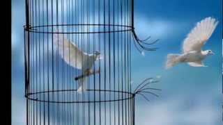 sonique, born to be free