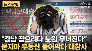 주담대 중단에 부동산 규제에 청년만 죽는다 [티조Clip]