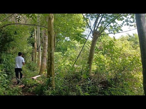  Terreno Grande en venta con Rio/ Nueva concepcion Escuintla 