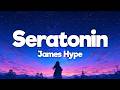 James Hype Seratonin Lyrics