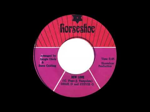 Ossie D And Stevie G - New Love