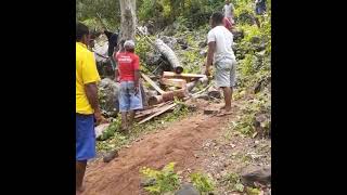 Download lagu ori toby mp3 Download lagu ori toby mp3