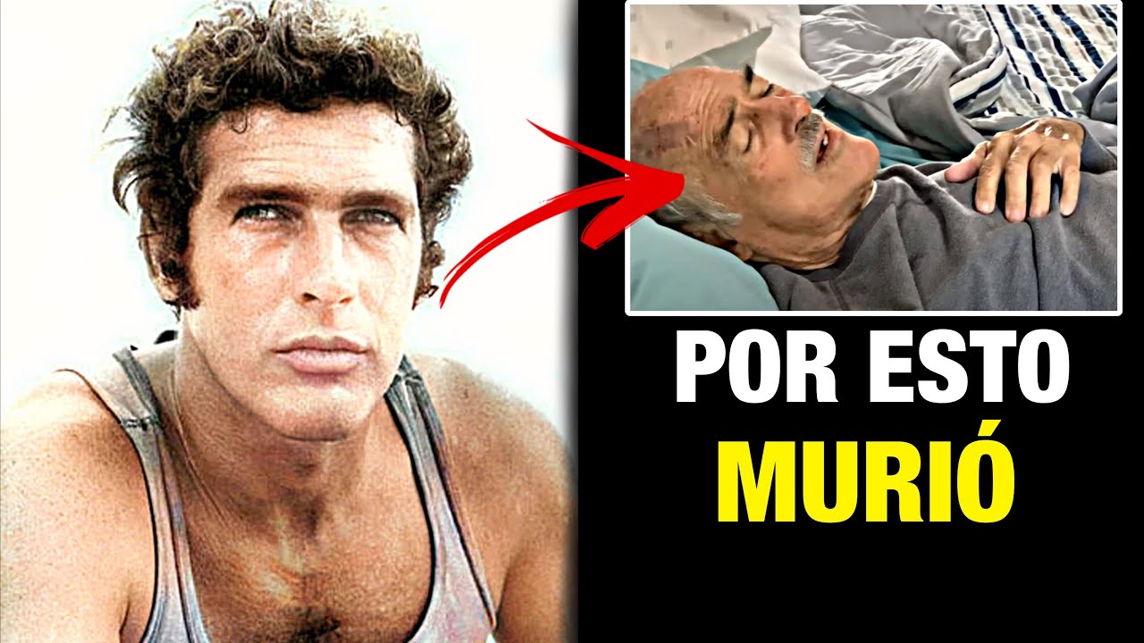 YouTube Thumbnail Downloader FULL HQ IMAGE