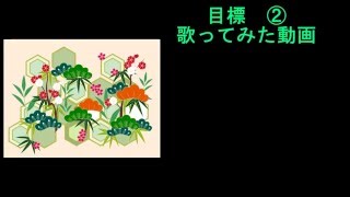 2016年の最初の動画　今年の目標