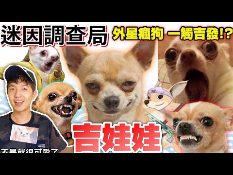 牟吉 梗圖
