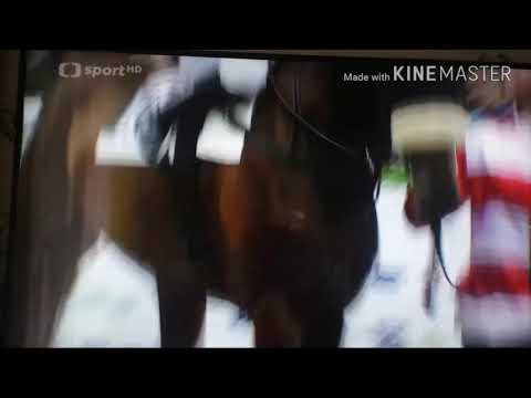 European Jockey's cup 2017