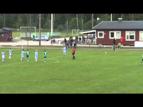 panaxia SAIF Gideonsberg