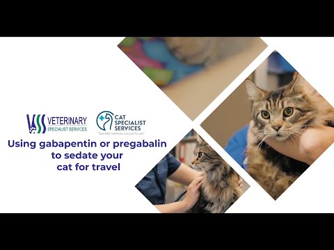 Using gabapentin or pregabalin to sedate your cat for travel