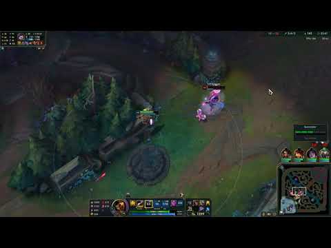 catJAM ✔️ dogJAM ❌