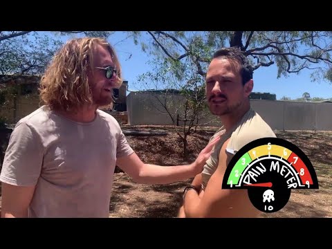 Which Sports Ball Is The Most Dangerous Experiment!