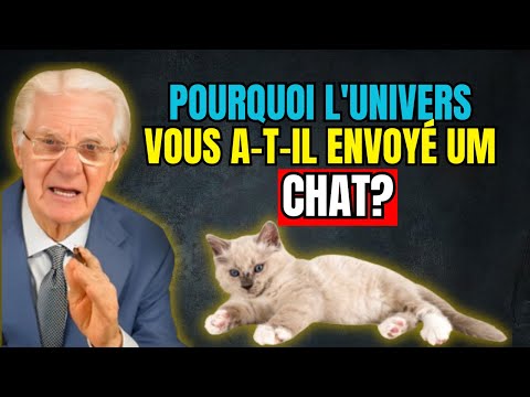 Discover the Spirituality of Cats - Why do cats come into your life?🐱🐾