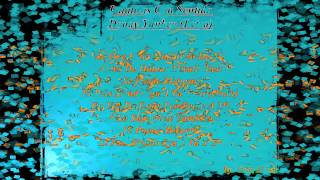 Palabras Con Sentido Daddy Yankee Letra