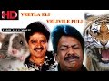 VEETLA ELI VELIYILA PULI - Super Hit Comedy Movie | S.Ve Shekar | Janagaraj | Rupini