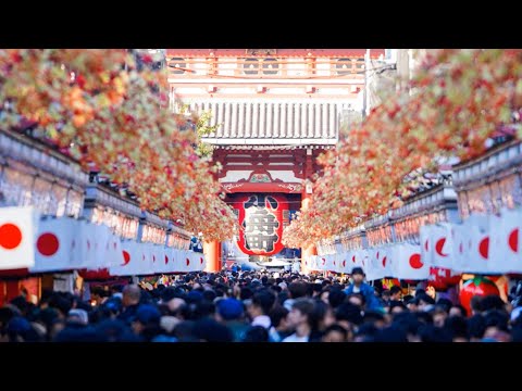 Japan Explained: Surprising Traditions & Customs Uncovered