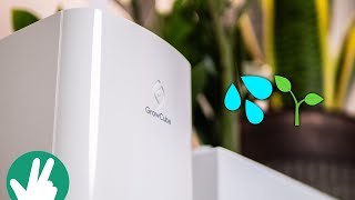 I'm a PLANT PERSON with the Elecrow GrowCube