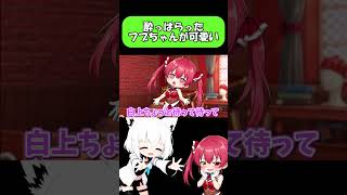酔っぱらったフブちゃんが可愛い！