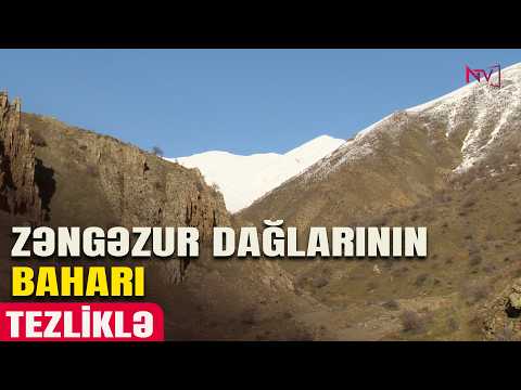 ZƏNGƏZUR DAĞLARININ BAHARI - TEZLİKLƏ