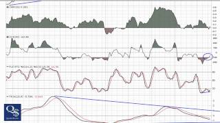 QualityStocks Video Chart IWEB 11/18/10