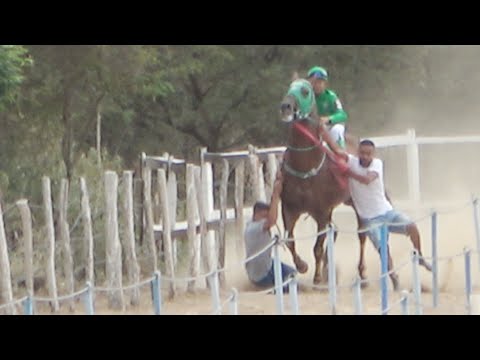 Especial: VII GP Jockey Club Haras Nego Vel - CLASSIFICATÓRIAS E FINAL