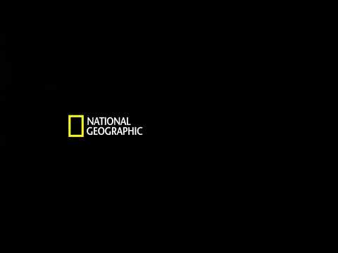 Narco Bling: Chapo Guzman End Game - National Geographic CA Intro