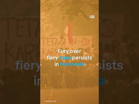 Indonesia's toxic haze sparks protests | DW News