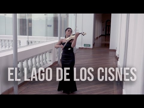 El lago de los Cisnes 💿 en Violín (Swan Lake)