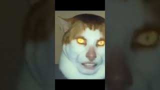 Cover art for Monday Left me Broken