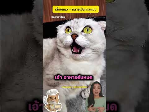 เลี้ยงแมวเหมือนเจ้านาย ขาเจ็บยังต้องให้อาหาร
