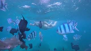 Super cute half day family snorkeling trip