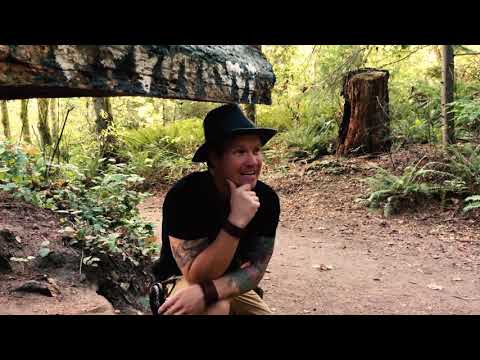 Pitfall Jones vs Herman Nerdstrom