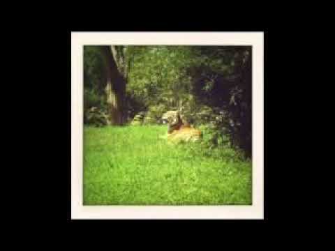 Mr Twin Sister - Meet The Frownies (Loop)