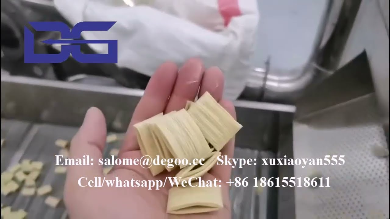 Orion's Korean Turtle Chips production line showing the four-layer corn chip manufacturing process with layered sheets and seasoning application