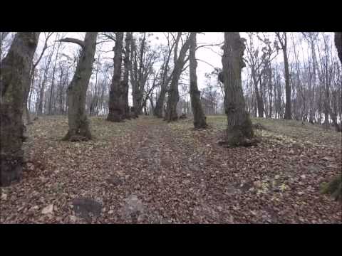 Olszanka Dwór 12.2014