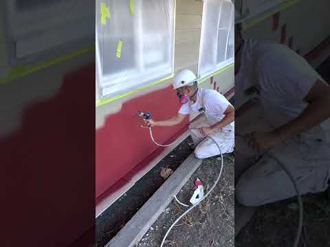 Frog clan painting group video.