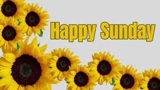 Happy Sunday Greetings✨ - Happy Sunday Wishes/Happy Sunday video/ Happy Sunday/@seherlovecreations
