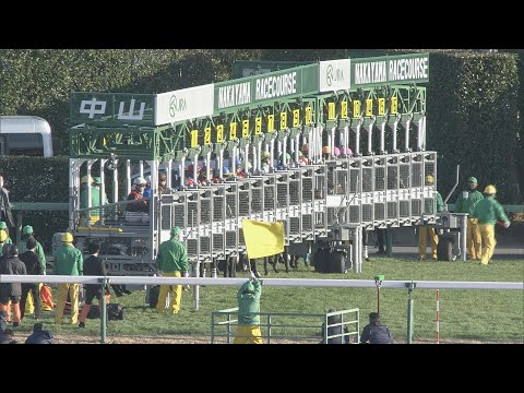 2021 ARIMA KINEN (The Grand Prix) (G1) | JRA Official