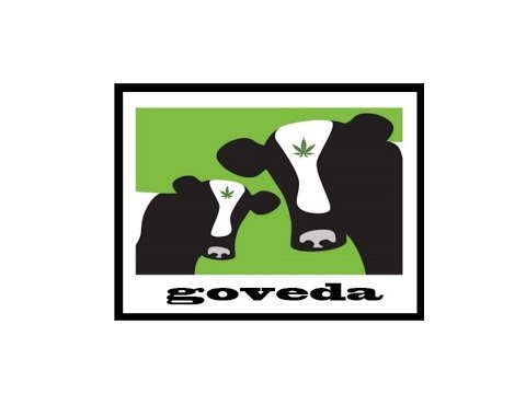 Goveda - Geto Leto