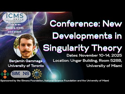 IMSA Conference: New Developments in Singularity Theory: Benjamin Gammage, Harvard University